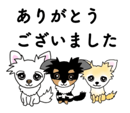 SIZUKU's Chihuahuas sticker #14079885