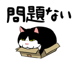 A little fat cat animation sticker #14080022