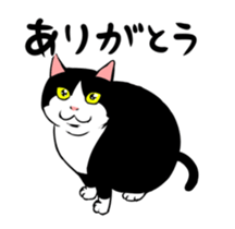 A little fat cat animation sticker #14080025