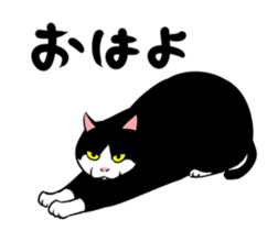 A little fat cat animation sticker #14080032