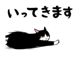 A little fat cat animation sticker #14080034