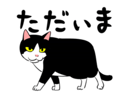 A little fat cat animation sticker #14080035