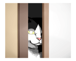 A little fat cat animation sticker #14080044