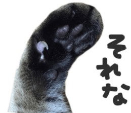 paw of a cat sticker #14080943