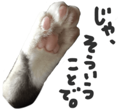paw of a cat sticker #14080945