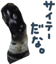 paw of a cat sticker #14080946