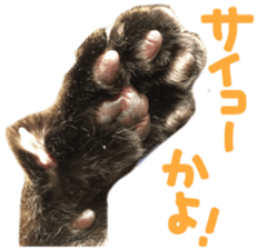 paw of a cat sticker #14080947