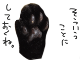 paw of a cat sticker #14080951