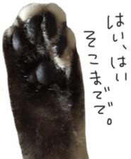 paw of a cat sticker #14080953