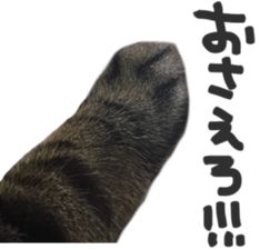 paw of a cat sticker #14080959