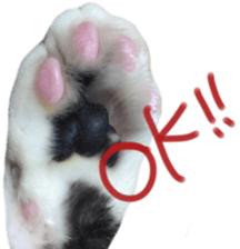 paw of a cat sticker #14080960