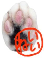 paw of a cat sticker #14080967