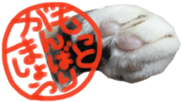 paw of a cat sticker #14080973