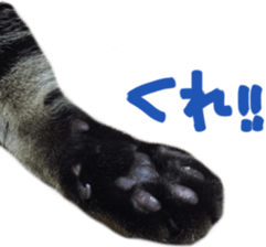 paw of a cat sticker #14080980