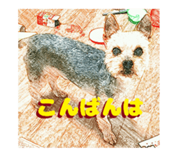 Hana of the Yorkshire terrier sticker #14081087