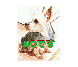 Hana of the Yorkshire terrier sticker #14081113