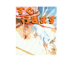 Hana of the Yorkshire terrier sticker #14081124