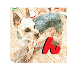 Hana of the Yorkshire terrier sticker #14081125