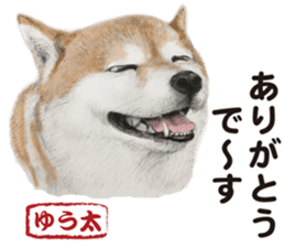 Shibainu-collection #1 sticker #14081176