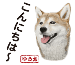 Shibainu-collection #1 sticker #14081177