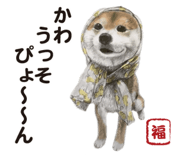 Shibainu-collection #1 sticker #14081184