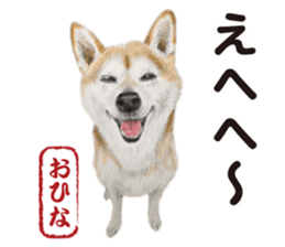 Shibainu-collection #1 sticker #14081190