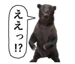 Cry at the heart of animals sticker #14081582