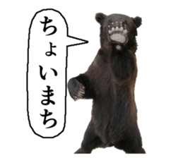 Cry at the heart of animals sticker #14081583