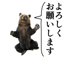 Cry at the heart of animals sticker #14081584