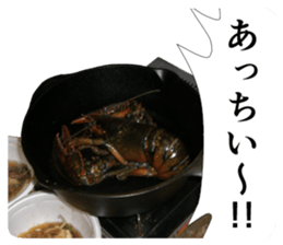 Cry at the heart of animals sticker #14081586