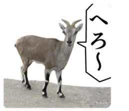 Cry at the heart of animals sticker #14081588