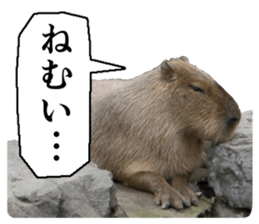 Cry at the heart of animals sticker #14081589