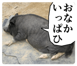 Cry at the heart of animals sticker #14081591