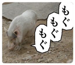 Cry at the heart of animals sticker #14081592