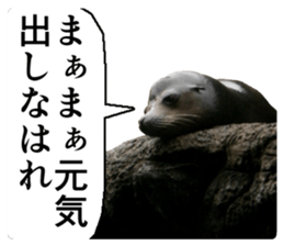 Cry at the heart of animals sticker #14081600