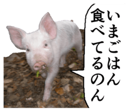 Cry at the heart of animals sticker #14081601