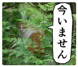 Cry at the heart of animals sticker #14081603