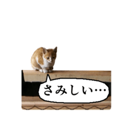 Cry at the heart of animals sticker #14081604