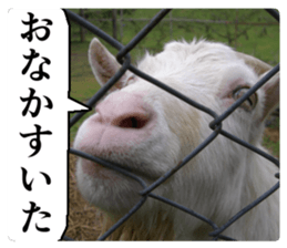 Cry at the heart of animals sticker #14081606