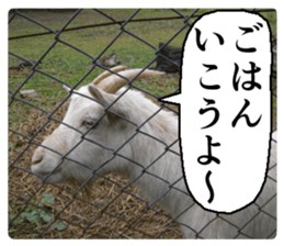 Cry at the heart of animals sticker #14081607