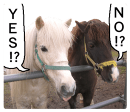 Cry at the heart of animals sticker #14081608