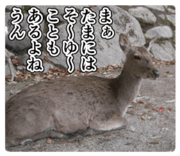 Cry at the heart of animals sticker #14081609