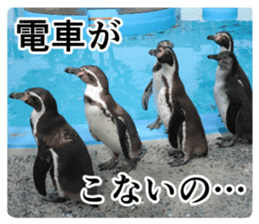 Cry at the heart of animals sticker #14081611