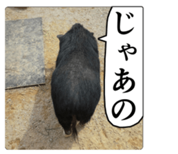 Cry at the heart of animals sticker #14081612