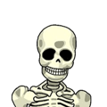 -Skeleton-