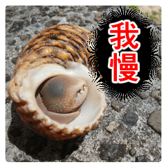 Cry at the heart of animals Part2