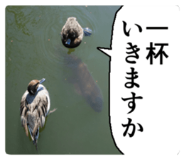 Cry at the heart of animals Part2 sticker #14081800