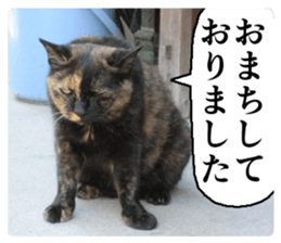 Cry at the heart of animals Part2 sticker #14081801