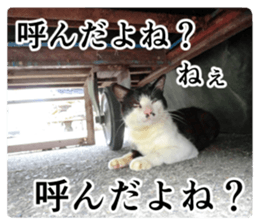 Cry at the heart of animals Part2 sticker #14081805