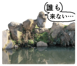 Cry at the heart of animals Part2 sticker #14081809